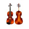 Violin importado semipro toda medida alta calidad!